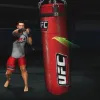 UFC Personal Trainer