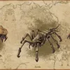 The Elder Scrolls Online