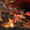 Bayonetta 2