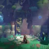Hob