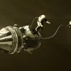 Prey