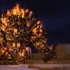 Knack