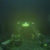 Soma