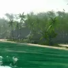 Far Cry 3