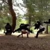 Videos