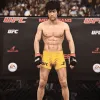 EA Sports UFC