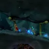 The Cave