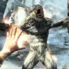 The Elder Scrolls V: Skyrim