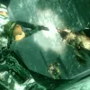 Resident Evil: Revelations