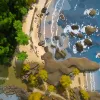 The Witness