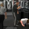 WWE 13