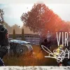 Virtual Life