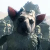 The Last Guardian