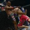 UFC Undisputed 3