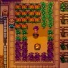 Stardew Valley