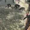 Videos