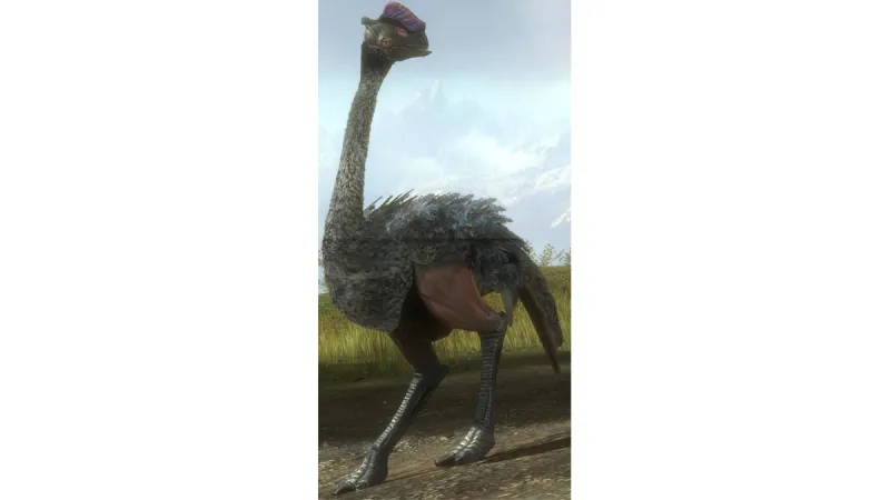 Rating Video Game Birds I Would (And Wouldn't) Eat For Thanksgiving Dinner