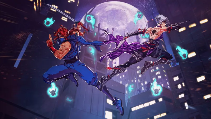 Ninja Gaiden 4